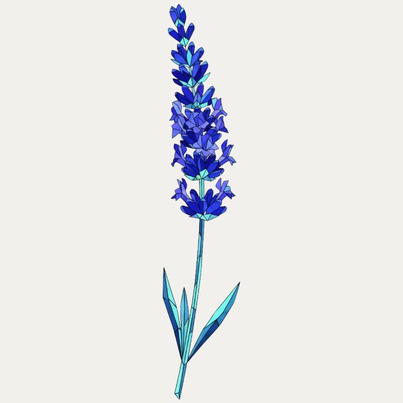Blaue Lavendel-Glasblume