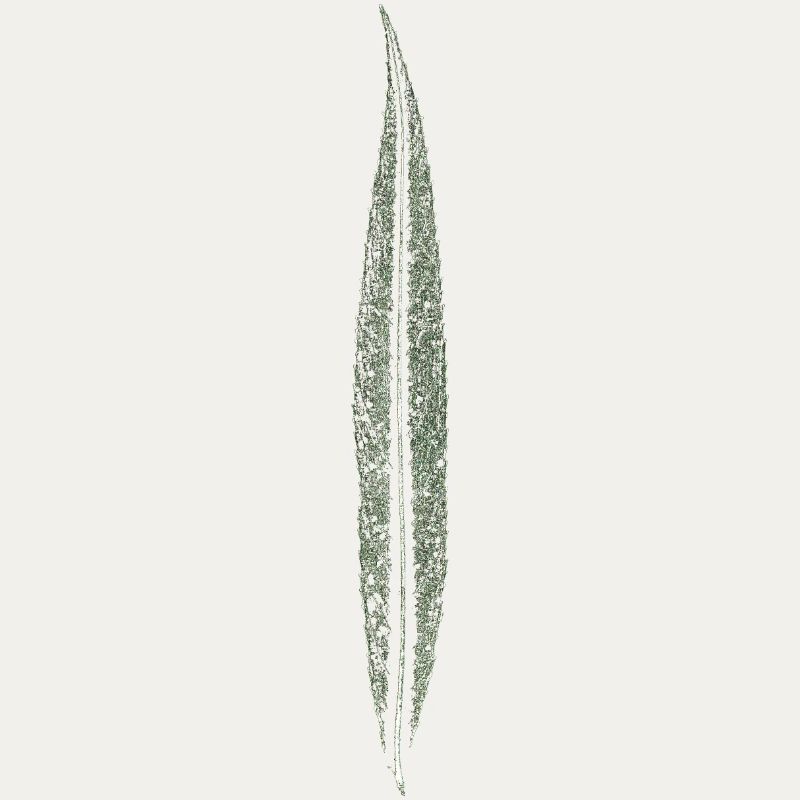 Willow leaf / leaf / nature