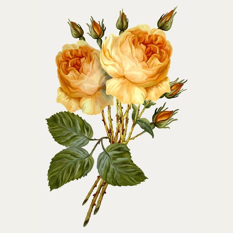 Fleur