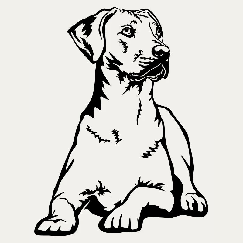 Rhodesian Ridgeback