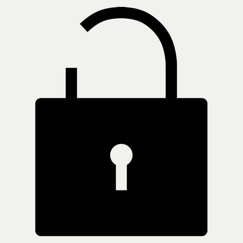 No security no security open lock lock