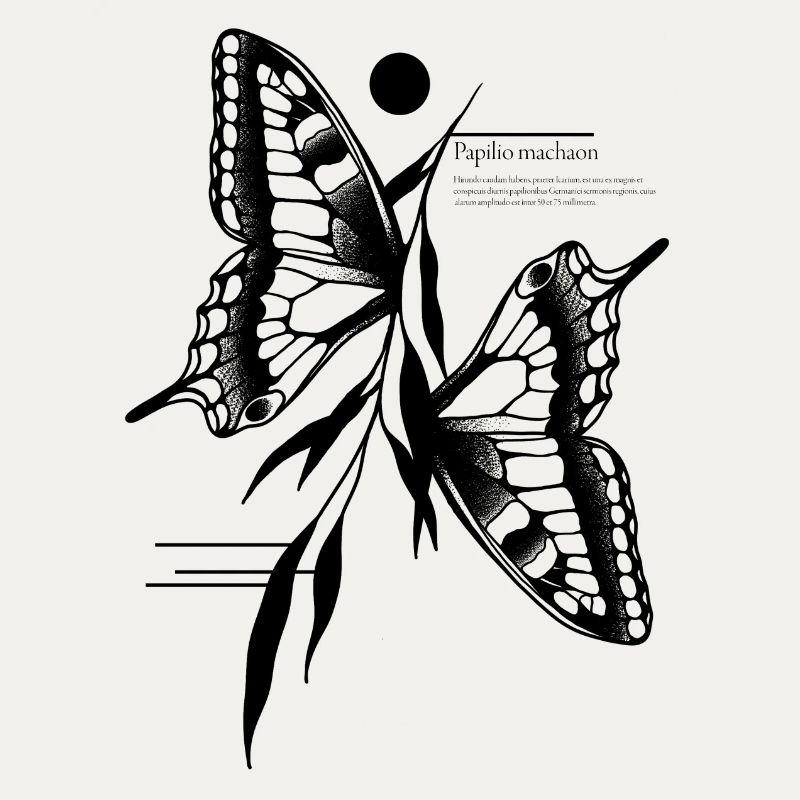 Papillon à queue d’aronde