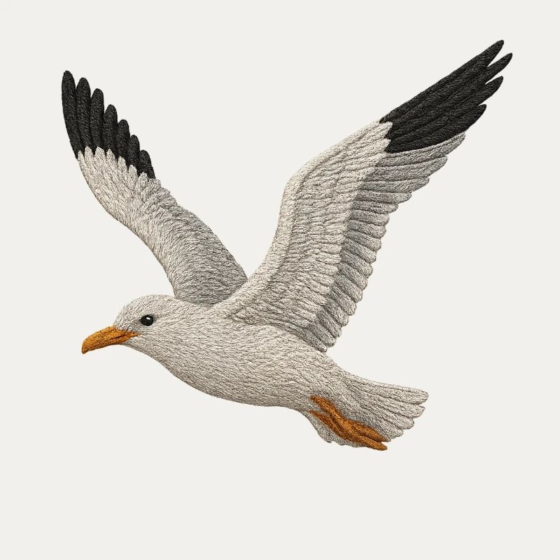 Möwe