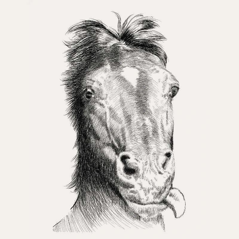 Pferd
