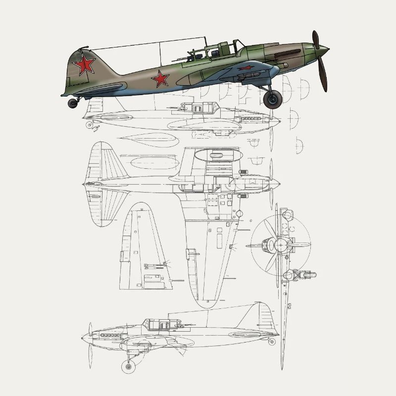 IL-2