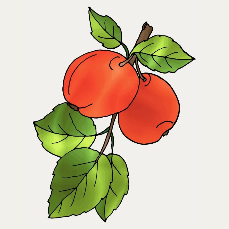 Äpfel