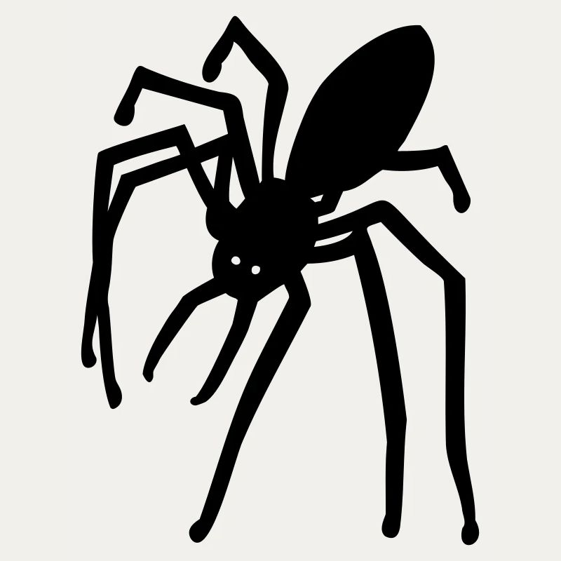 araignée