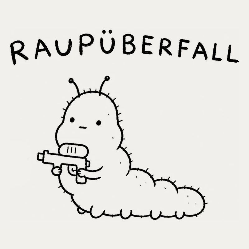 Raupüberfall