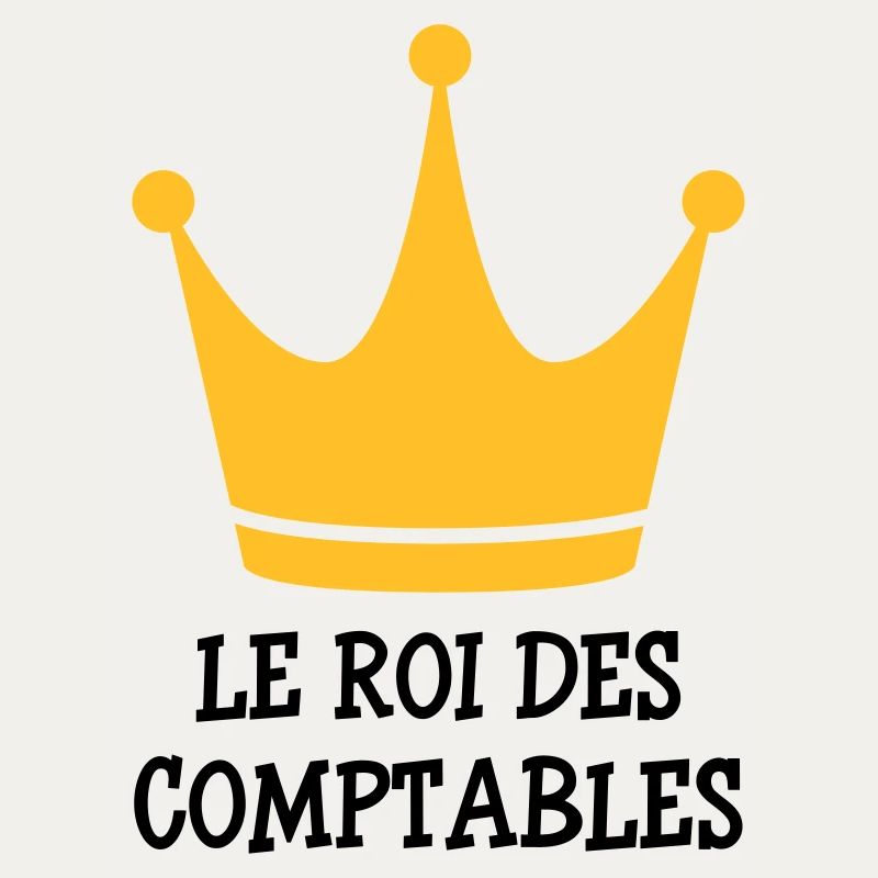 comptable / comptabilité / argent / Finance / Euro