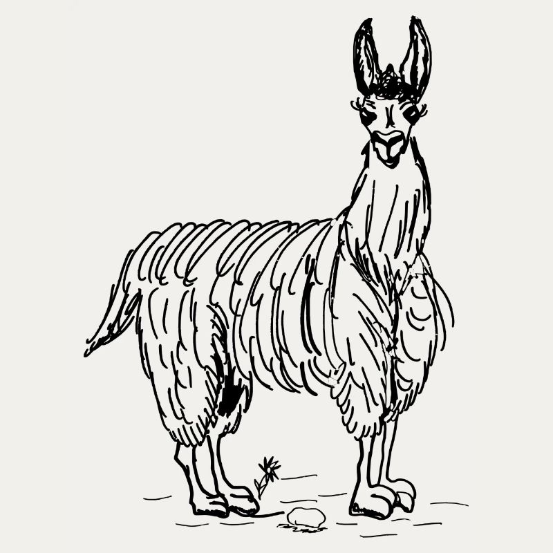 Lama
