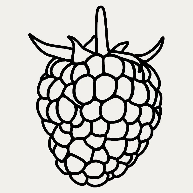 Raspberry Silhouette