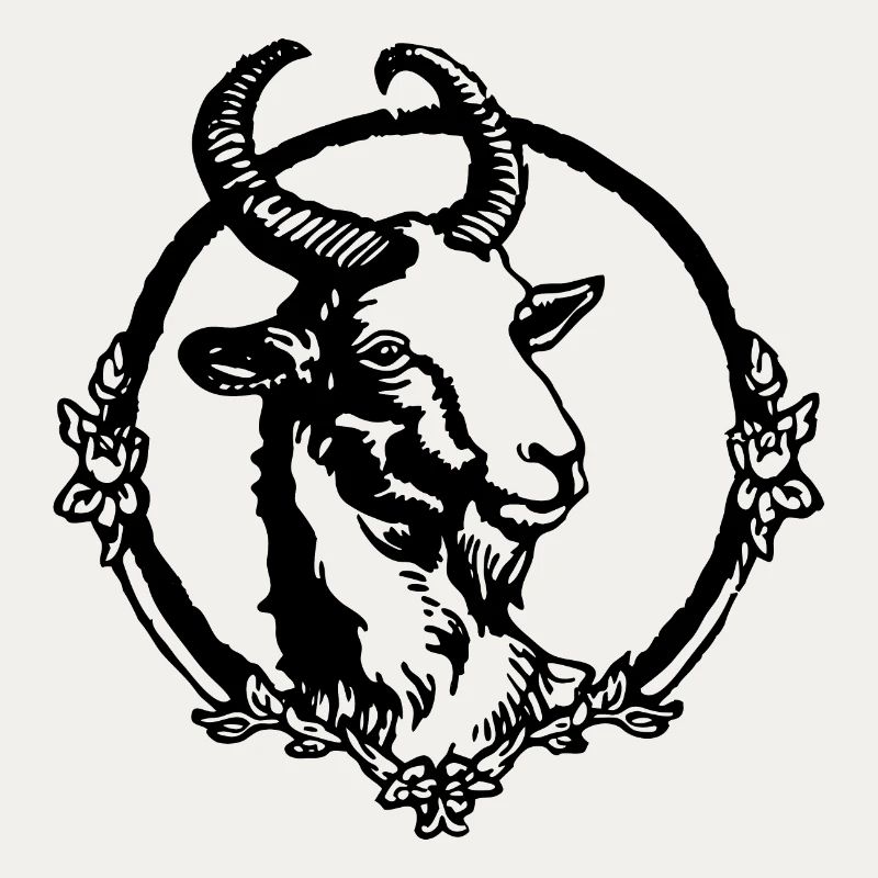 Steinbock Ziege