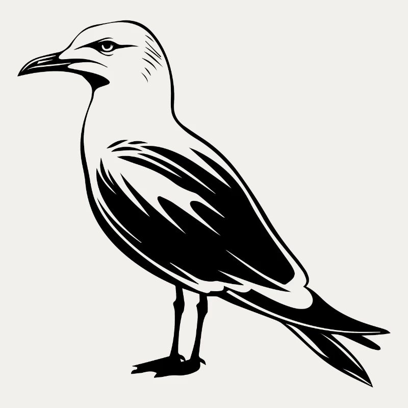 Möwe