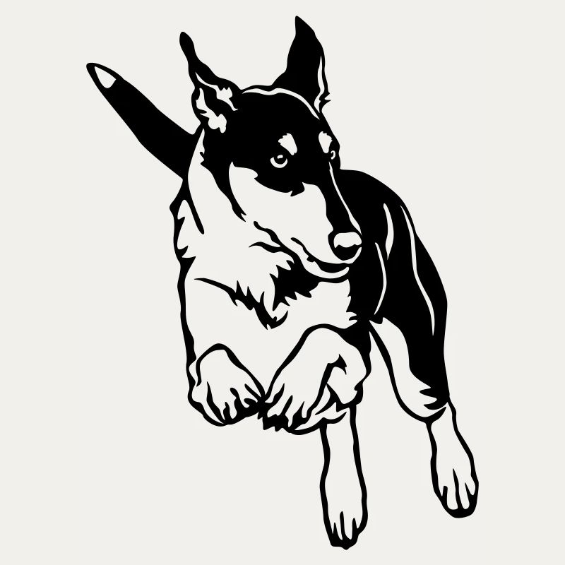 Collie