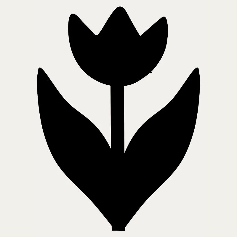 Fleur Fleurs Noires Fleur De Tulipe Fleur De Tulipe