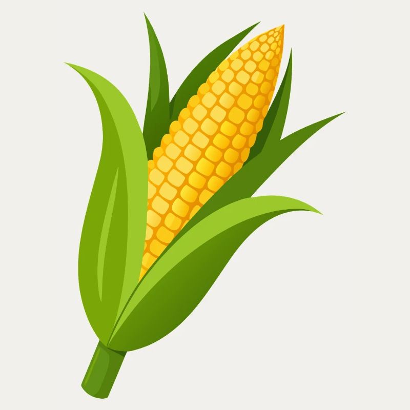 Corn stalk