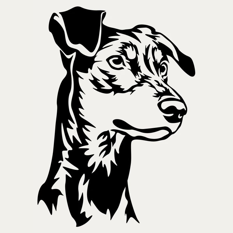 German pinscher head