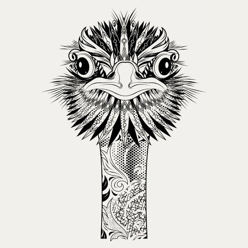 ostrich