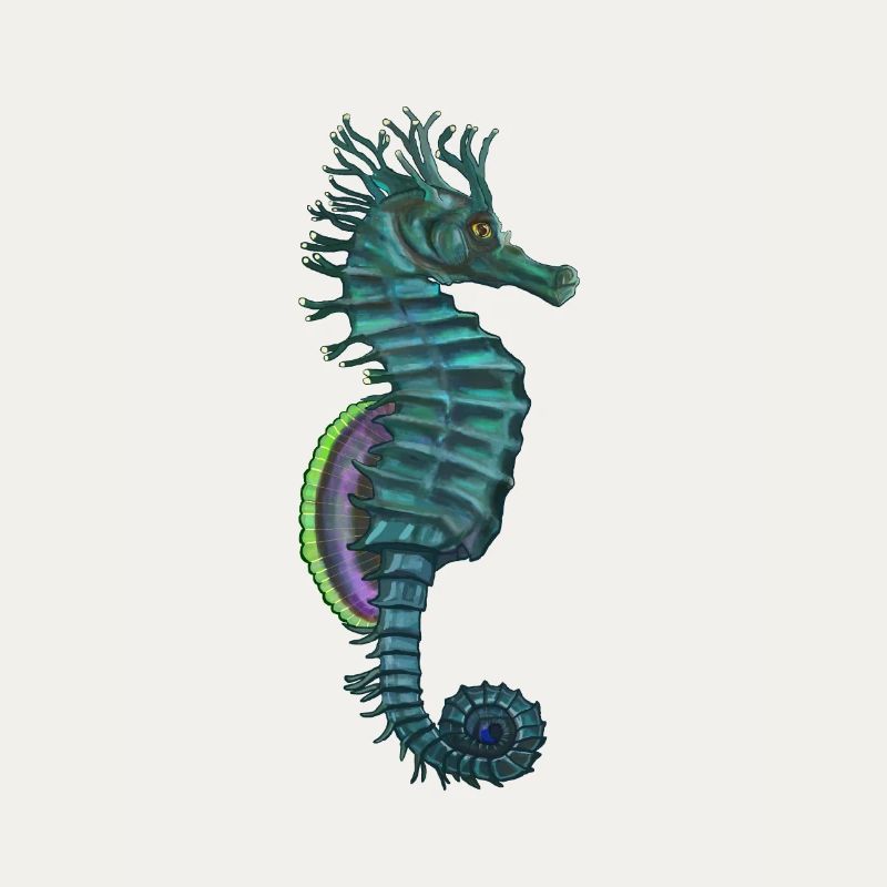 Hippocampus