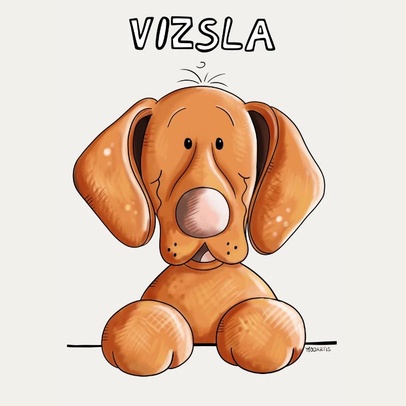 Neugieriger Vizsla
