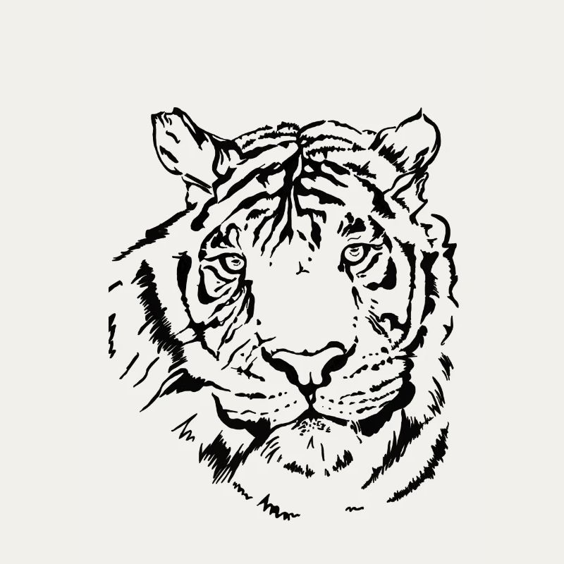 Tigre dessiné à la main
