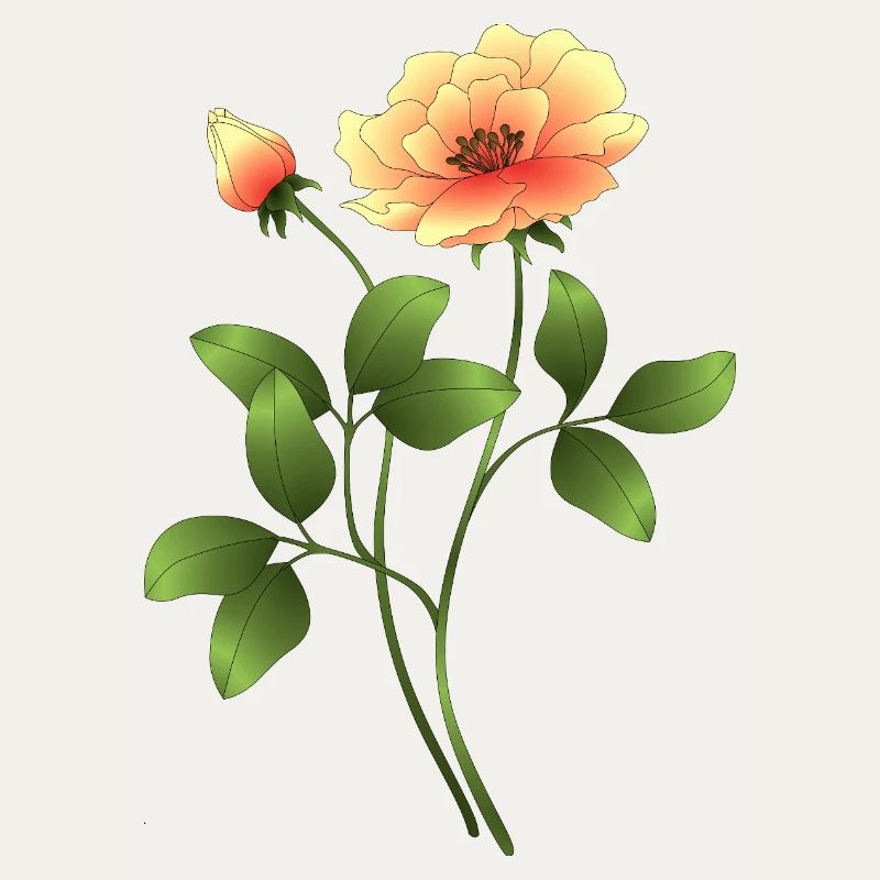 Fleur