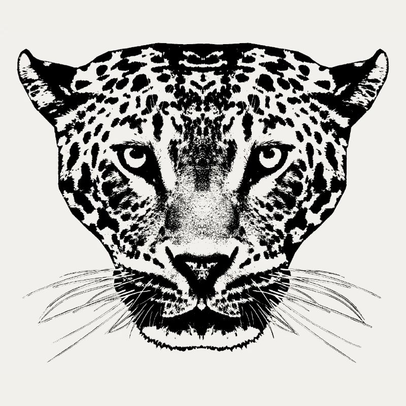 Leopard / Head