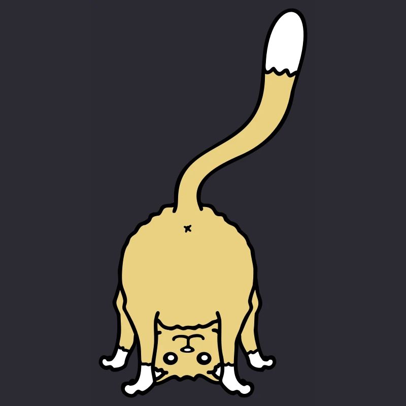 Funny Cat From Behind Shows Backside Ass Fun