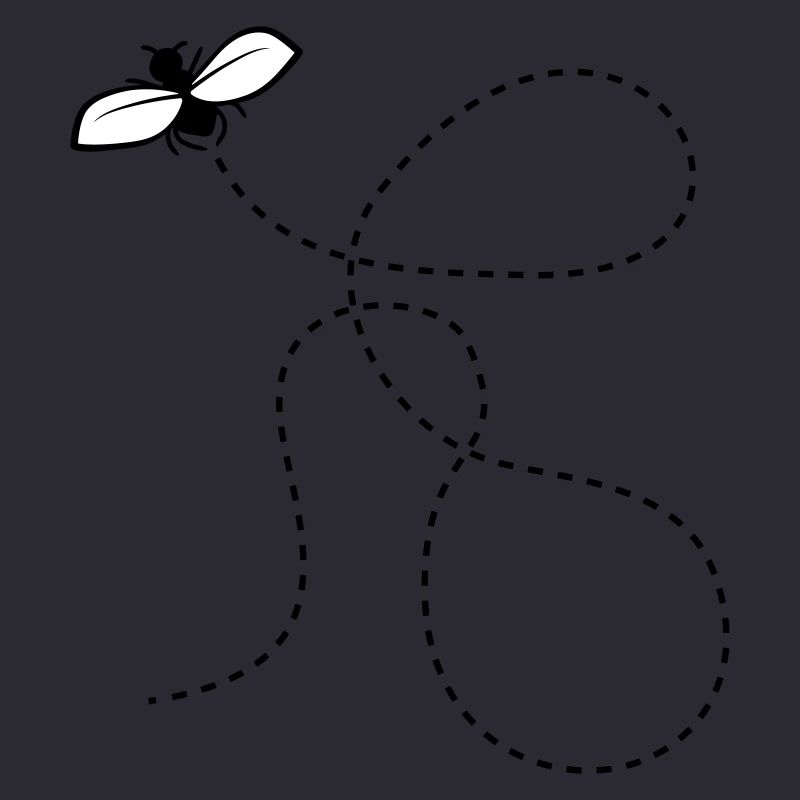 Dashed Line Fly