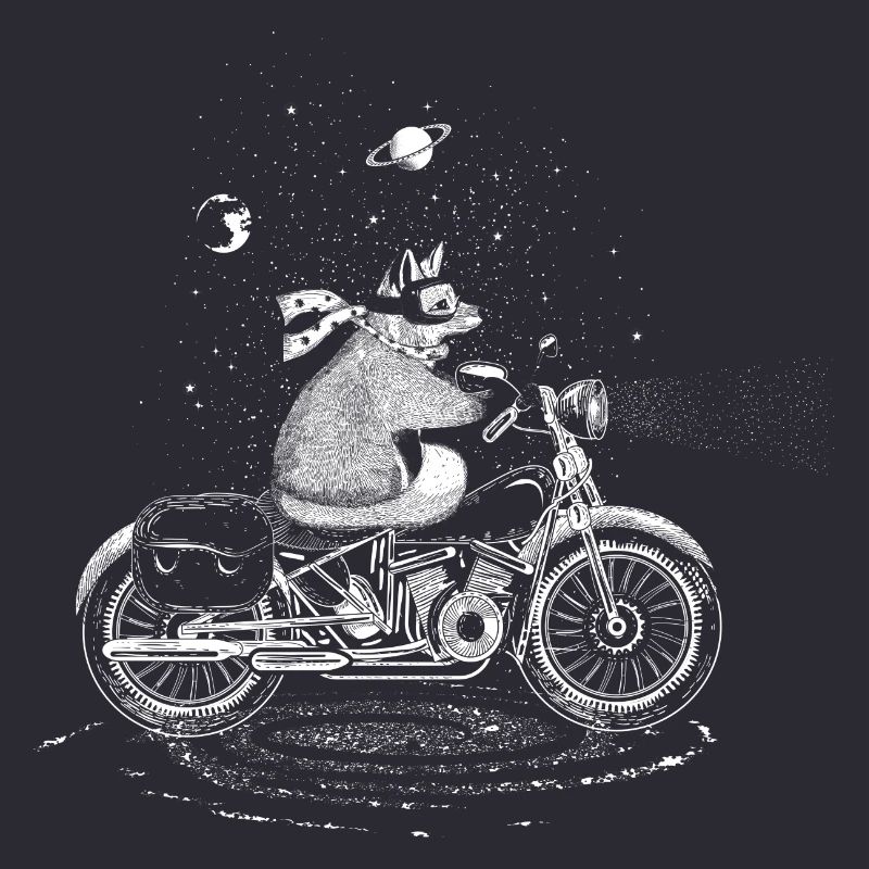 A fox rides a motorcycle