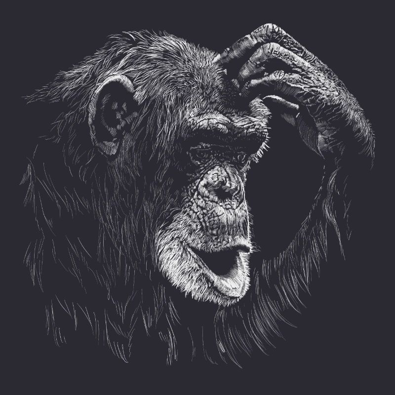 Monkey