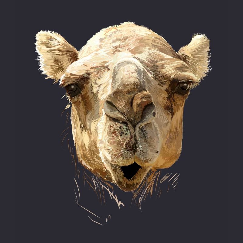 kamel
