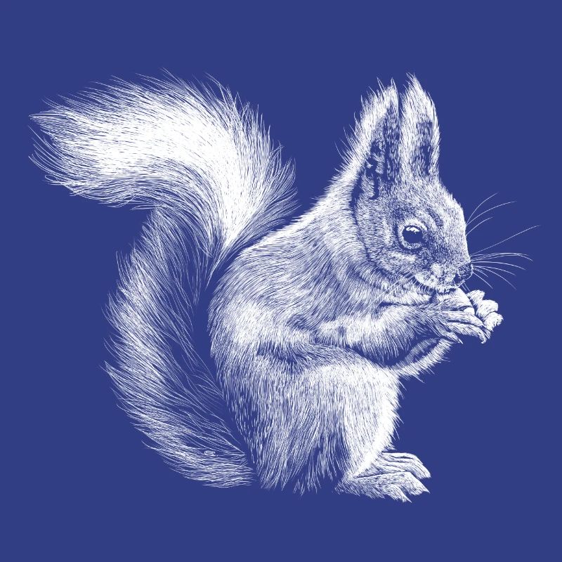 Eichhörnchen