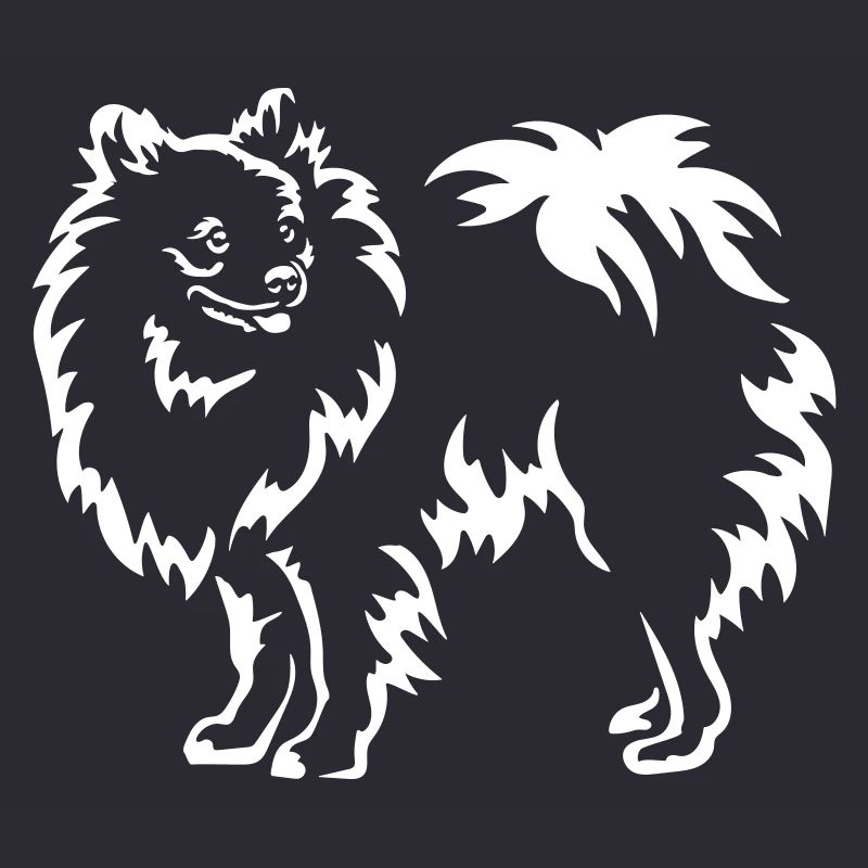 Spitz "Black Edition"