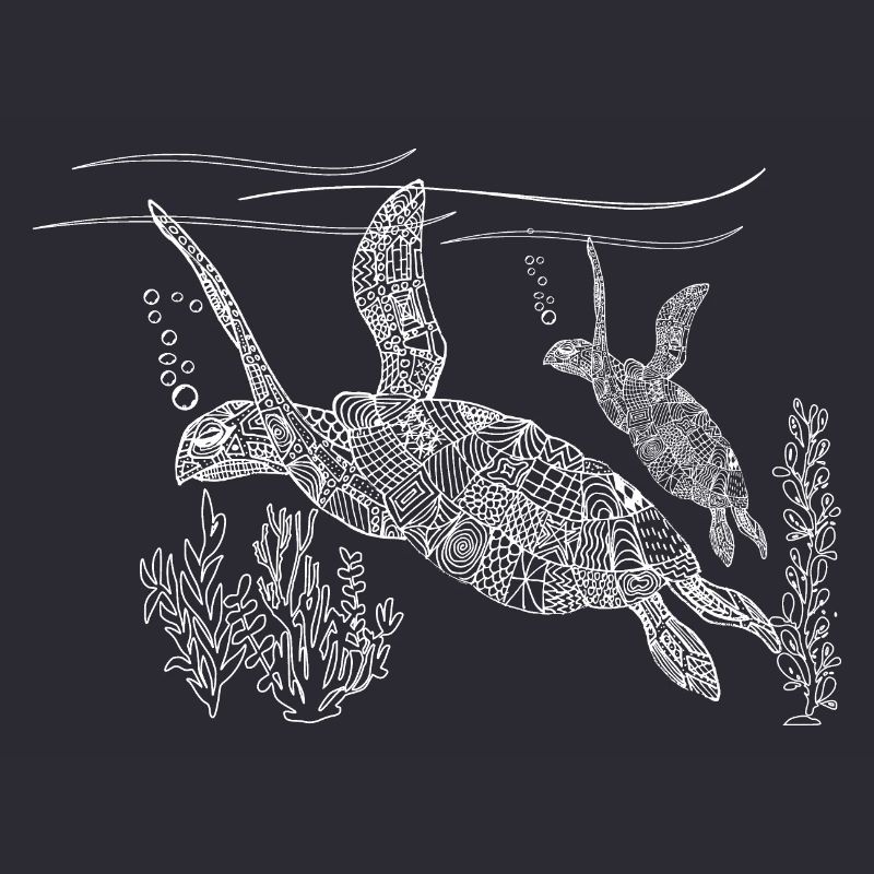 Water turtle