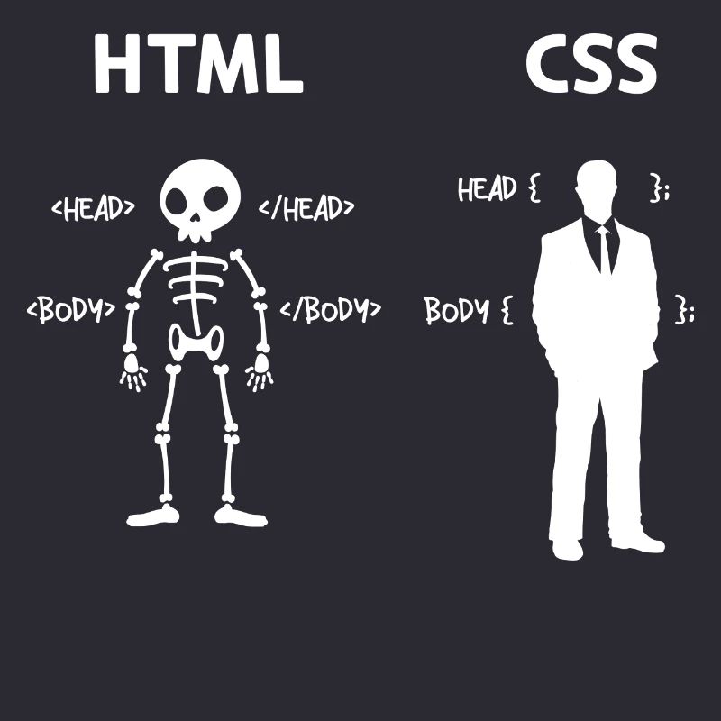 Code Css C++ Php Java Développeur Code Scripting