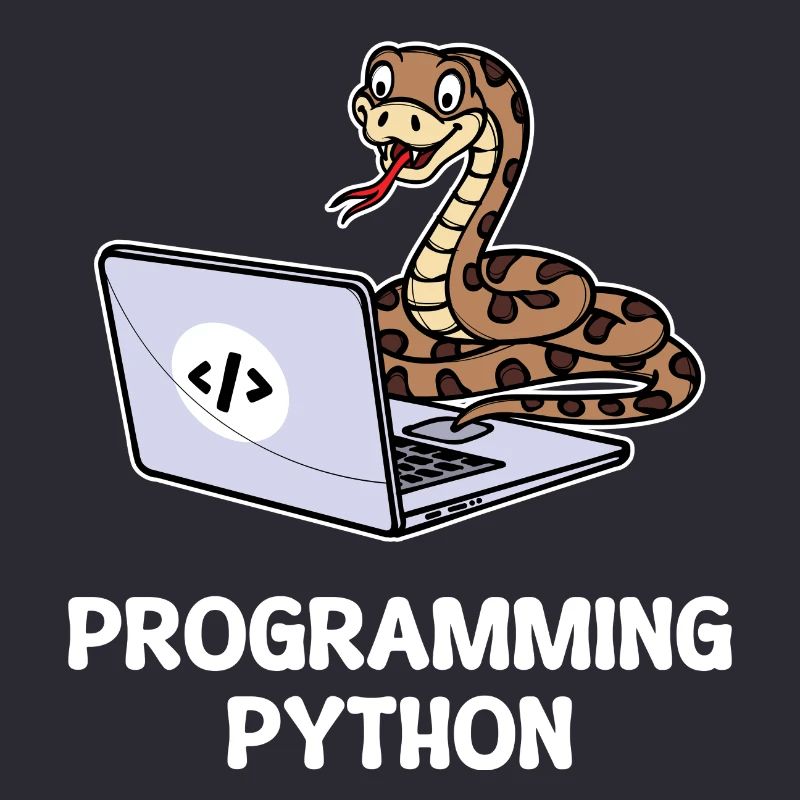 Scripting Programmer Computer Debug Developer