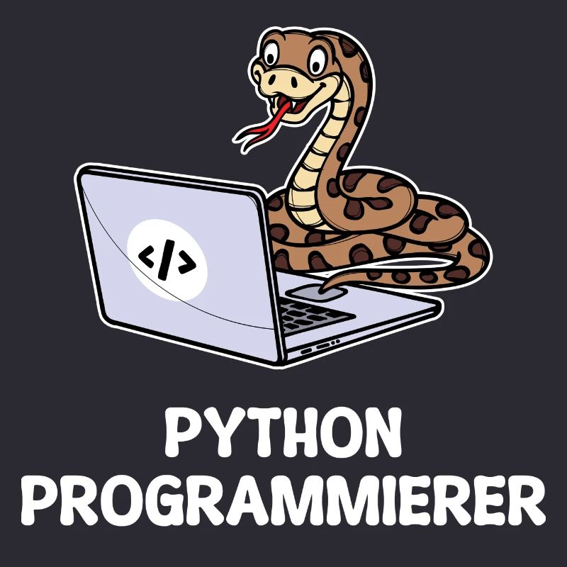 Developer Coden Statement Computer Programmierer