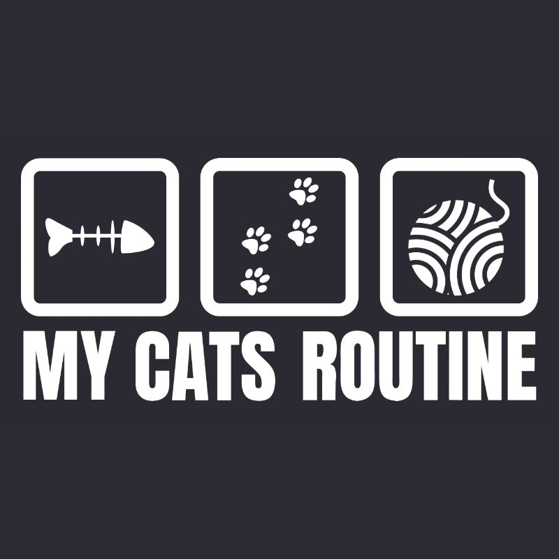 Routine meiner Katze
