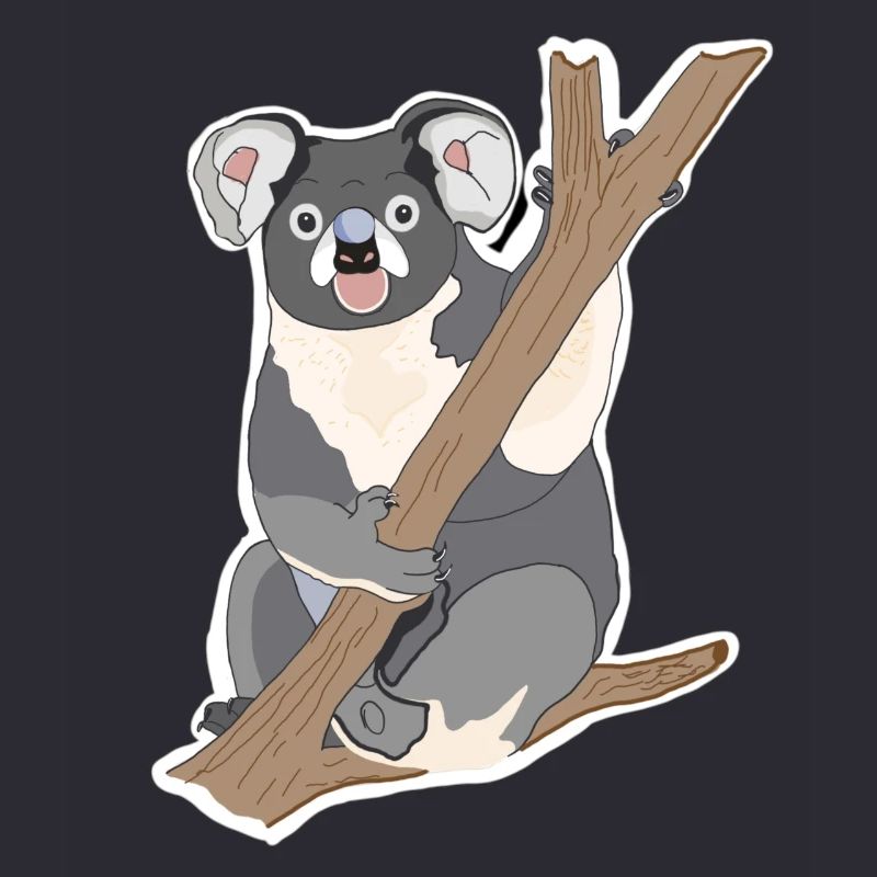 Koala Koalabär