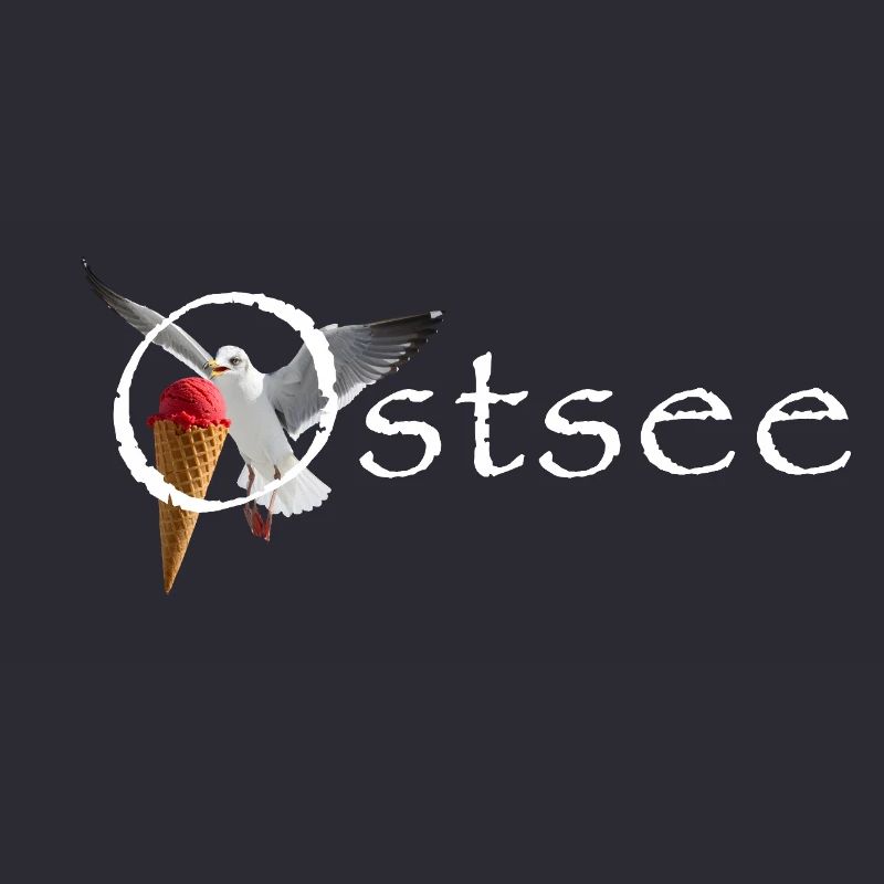 Ostsee Möwe Eisräuber Raubvogel