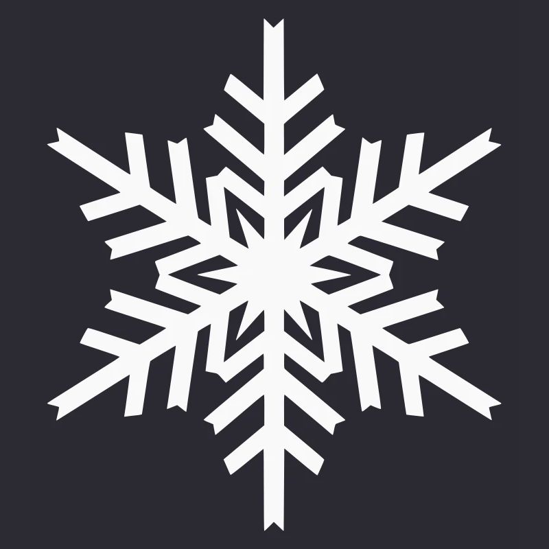Geometric Snowflake