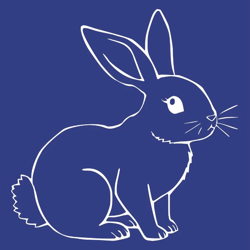 Rabbit Bunny Bunny Dwarf Rabbit Gift