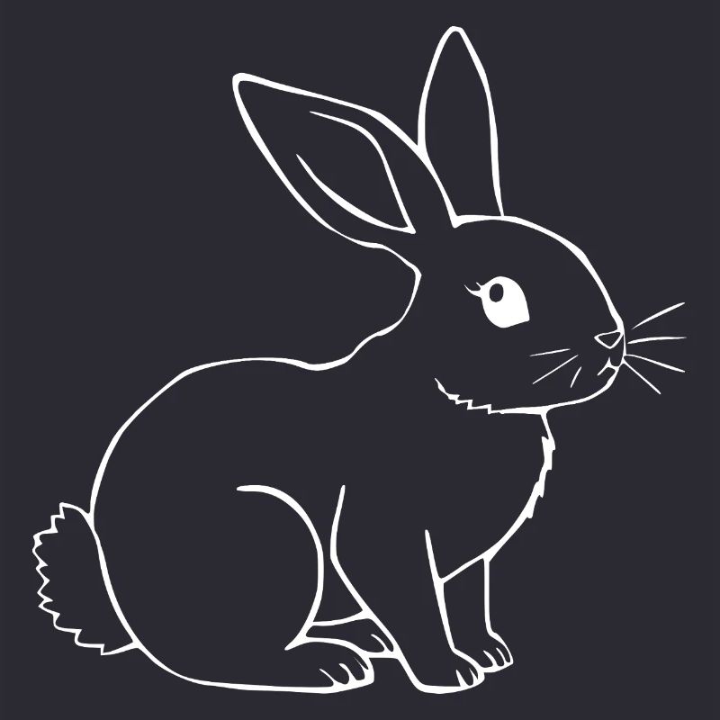 Rabbit Bunny Bunny Dwarf Rabbit Gift
