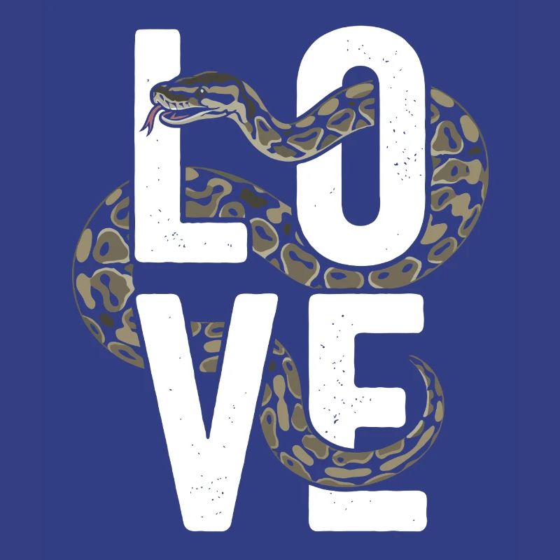 Königspython Schlangen LOVE Terrarium Python