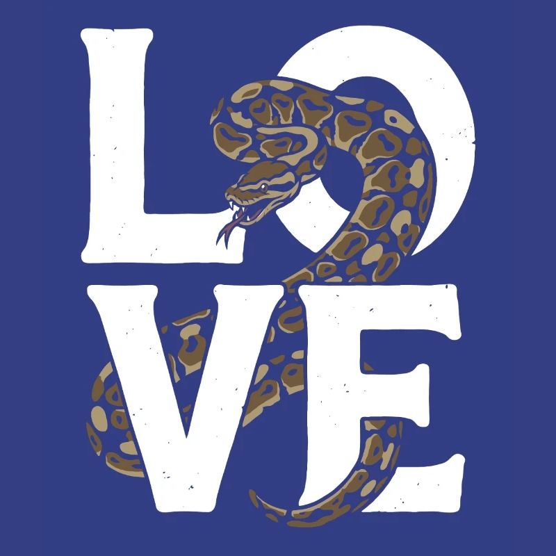 Les serpents rois Python ADORENT les pythons de terrarium