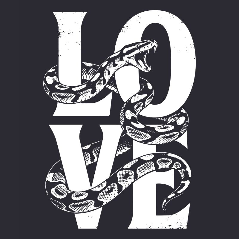 Les serpents rois Python ADORENT les pythons de terrarium
