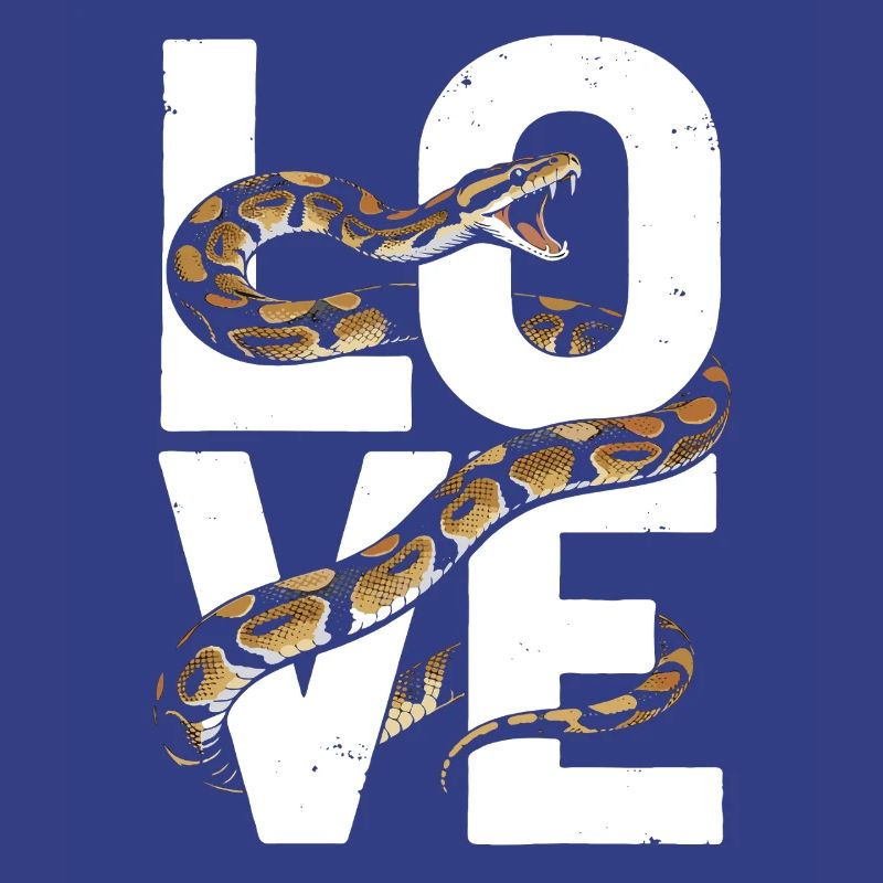 Les serpents rois Python ADORENT les pythons de terrarium