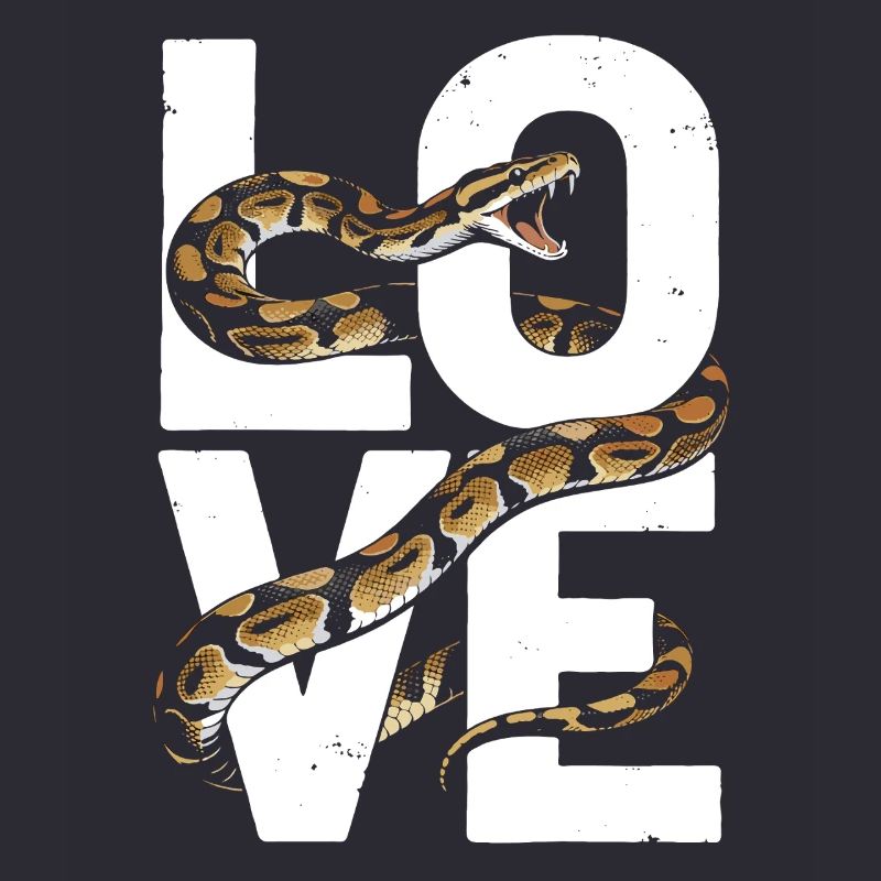 Les serpents rois Python ADORENT les pythons de terrarium