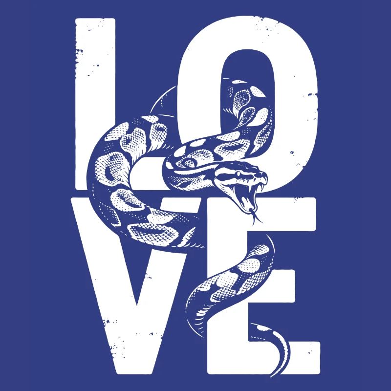 Königspython Schlangen LOVE Terrarium Python